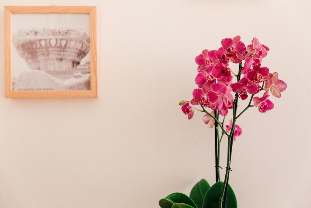 Bed and Breakfast Adriano Augusto Rom Zimmer foto